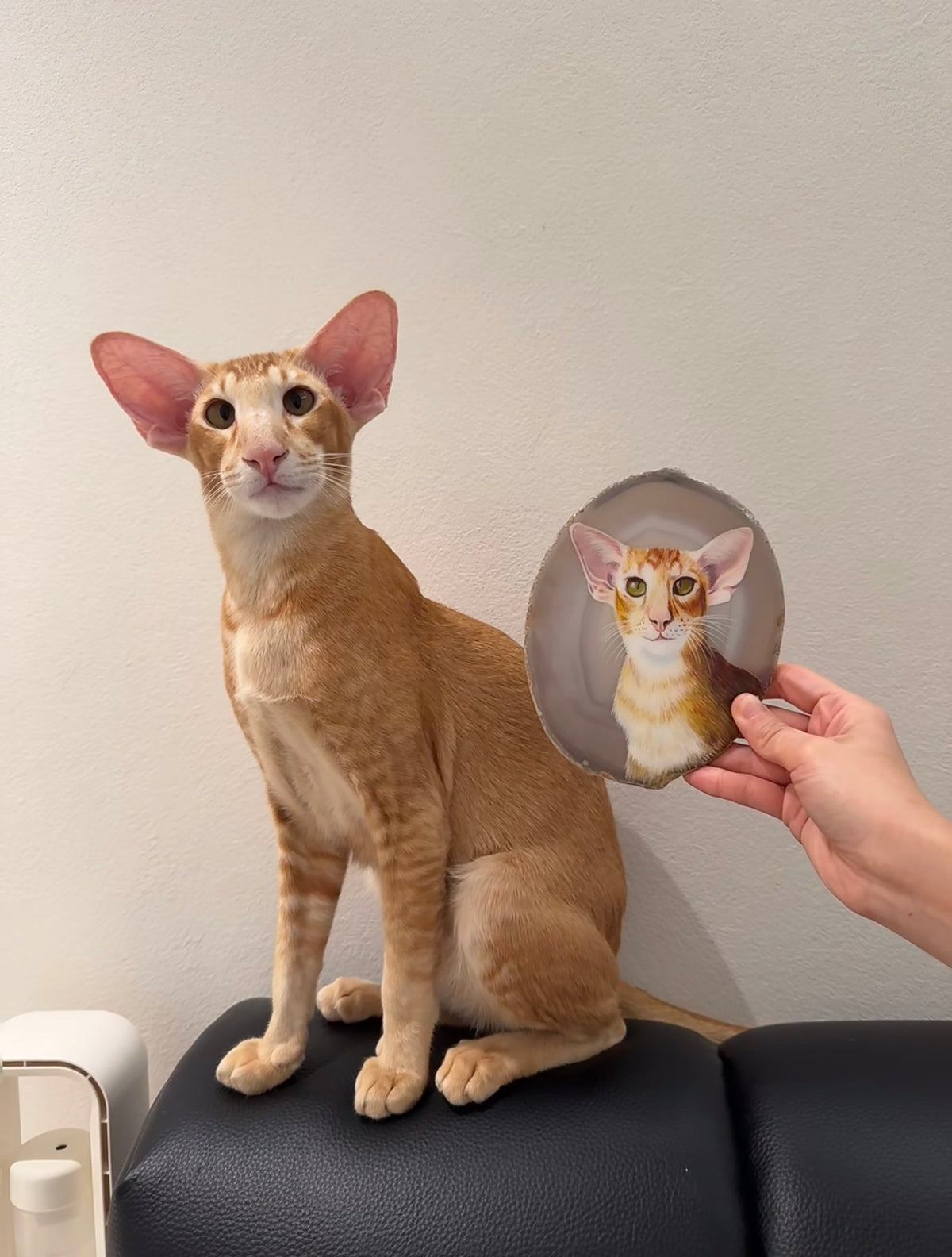 Hand Painted Pet Portrait Stone, Custom Pet Memorial Stone from Your Photo